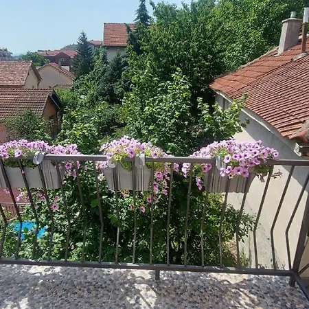 Vladan
